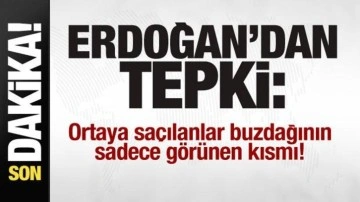 Cumhurbaşkanı Erdoğan'dan tepki: Ortaya saçılanlar buzdağının sadece görünen kısmı...