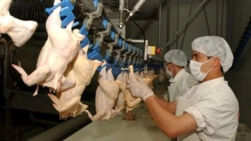 Beyaz et sektöründeki 4 firmaya rekor ceza