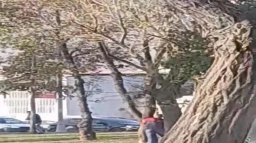 Beyoğlu'nda silahlı çatışma, ağaçların arkasından çatıştılar