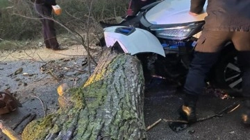 Biga'da otomobil fırtına nedeniyle yola devrilen ağaca çarptı