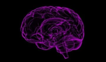 Bilim insanları beyindeki 'iç pusulanın' nasıl çalıştığını tespit etti