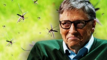 Bill Gates'in Sivrisinek Projesi Aslında Ne?