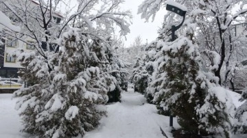 Bingöl’de kar kalınlığı yer yer 30 santimi aştı, 283 köy yolu ulaşıma kapandı