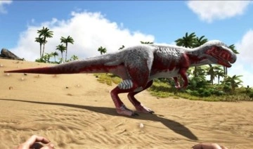 'Bir metrelik dinozor ayak izi' bulundu