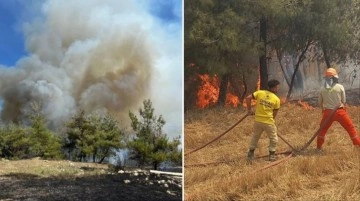 Birini söndürüyorlar diğeri başlıyor! 4 kentteki orman yangını için ekipler seferber oldu