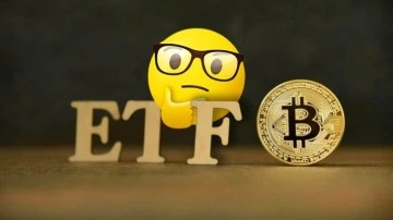 Bitcoin'in ETF Süreci, Yatırımcıları Heyecanlandırmalı mı? - Webtekno