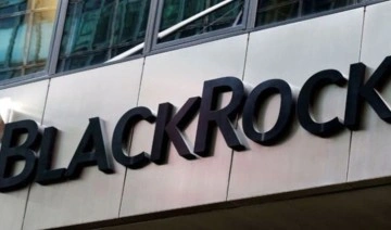 BlackRock’tan Fed açıklaması: 'Daha fazla artırmalara yol açabilir'