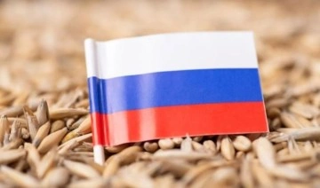 BM'den Putin'e tahıl teklifi
