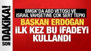 BMGK'daki skandal ABD vetosu sonrası Cumhurbaşkanı Erdoğan'dan ilk tepki