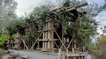 Bodrum'da ağaç dallarıyla gizlenmeye çalışılan kaçak inşaat tespit edildi