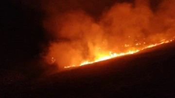 Bodrum'da makilik arazide çıkan yangın söndürüldü