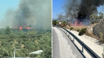 Bodrum'da orman yangını! Havadan ve karadan müdahale ediliyor