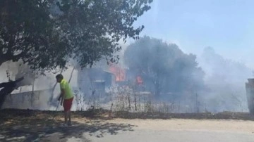 Bodrum'daki yangın 'tiny house'lara sıçradı