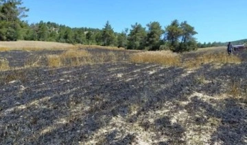 Bolu'daki buğday tarlası yangında kül oldu