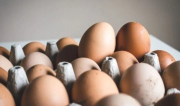 'Bozuk yumurta' davasında market sahibine 'para cezası'