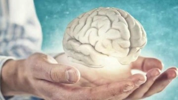 Bu test alzheimer riskini ortaya çıkarıyor! 'Evet' ve 'Hayır' cevaplarıyla beyin