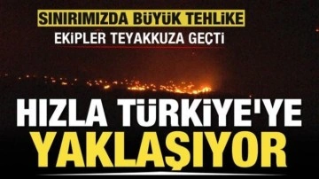 Bulgaristan'daki orman yangını Türkiye'ye ilerliyor! Ekipler ve köylüler teyakkuzda