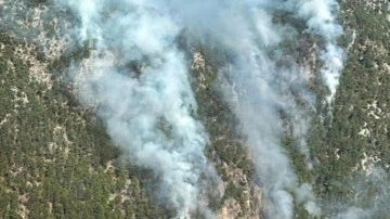 Burdur'daki orman yangını yeniden başladı!