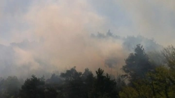 Bursa'da orman yangını. Rüzgarın etkisiyle büyüdü. İşte yangındaki son durum...