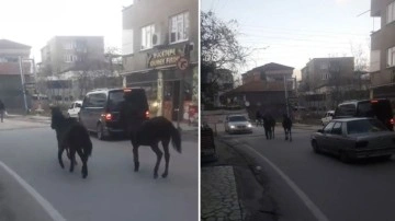 Bursa’da başıboş atlar trafiği karıştırdı!