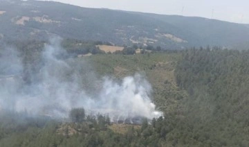 Bursa'da çıkan orman yangını söndürüldü