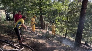 Bursa'da iki noktada orman yangını