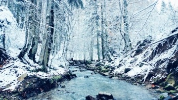 Bursa'da kar yağışı kartpostallık görüntüler ortaya çıkardı, gören mest oldu