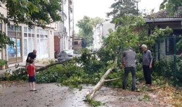 Bursa'da sağanak ve fırtına: Ağaçlar devrildi, cadde ve sokaklar suyla doldu