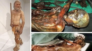 Buz adam Ötzi, Anadolulu çıktı