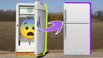 Buzdolabı Kapaklarının Mıknatıslı Olmasının Sebebi Nedir? - Webtekno