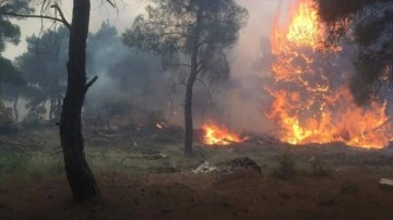 Çanakkale'de devam eden orman yangını şehir merkezine kadar yaklaştı