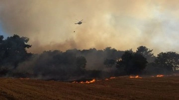 Çanakkale'de orman yangını sürüyor! 1 köy boşaltıldı