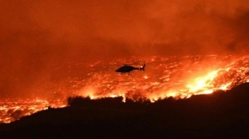 Çanakkale'deki orman yangınında 4 kişi dumandan etkilendi