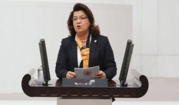 CHP Milletvekili Suzan Şahin kimdir, kaç yaşında? Suzan Şahin nereli?