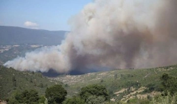 CHP'li Ahmet Akın, Balıkesir'deki orman yangının enerji nakil hatlarından kaynaklığını açı