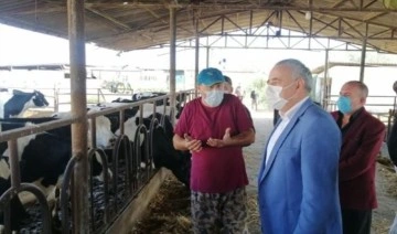 CHP’li Bakırlıoğlu: Et ve kasaplık sığır ithalatının önü açıldı!