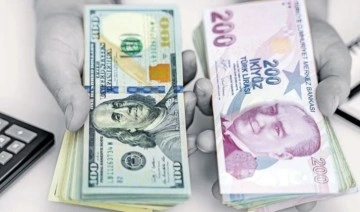 CHP'li Karabat'tan dolar analizi: Köprüden önce son çıkış