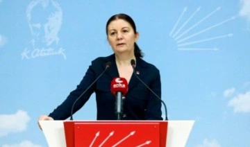 CHP'li Lale Karabıyık'tan Bakan Kasapoğlu'na KYK yanıtı: Faizi bize öğretmeyin