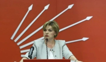 CHP'li Selin Sayek Böke'den istifa sonrası ilk açıklama