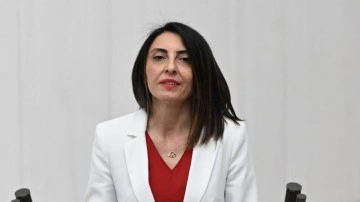 CHP'li vekil Nurhayat Altaca Kayışoğlu'na şok danışman eş suçlaması!
