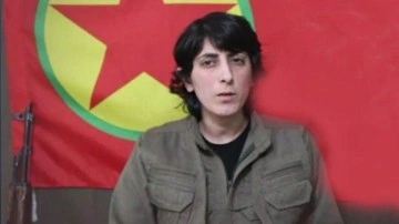 CHP'nin tutuklu gazeteciler listesindeydi: Kandil'de görevinin başında!
