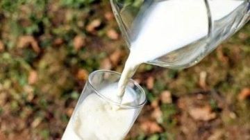 Çiğ süt desteğine ilişkin başvuru esasları düzenlendi
