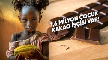 Çikolatanın Tadı Kadar Tatlı Olmayan Hikâyesi
