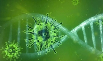 Çin'de Langya virüsü alarmı! Bilim insanları araştırmaya başladı