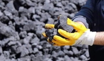 Çin'in Rusya'dan kömür ithalatı son 5 yılın en yüksek seviyesinde