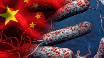 Çin'in Wuhan Kentinde Bu Kez Kolera Vakası Tespit Edildi