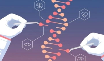 CRISPR-Cas9 bir panzehirin keşfinde kullanıldı