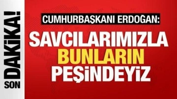 Cumhurbaşkanı Erdoğan: 29 vatandaşımızın ölümüne göz yumanların peşindeyiz