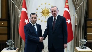 Cumhurbaşkanı Erdoğan, AYM Başkanı Zühtü Arslan'ı kabul etti