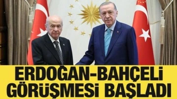 Cumhurbaşkanı Erdoğan, Bahçeli ile görüşüyor